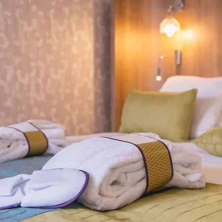 ホテル Mercure Centre De Congres 4*
