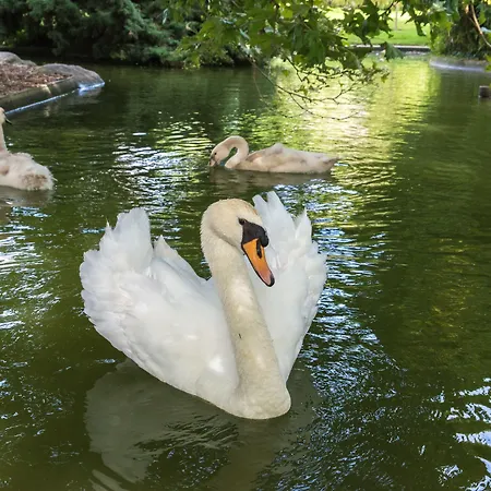 Mercure Centre De Congres فندق 4*