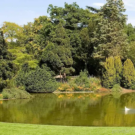 Mercure Centre De Congres 酒店 4*