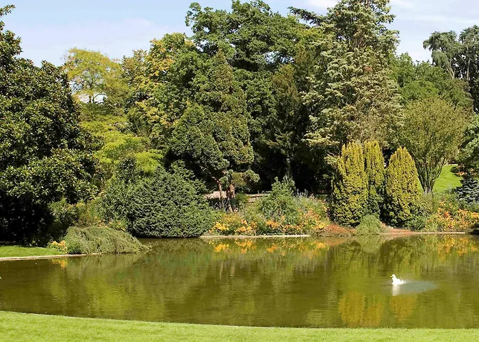 Mercure Centre De Congres Otel 4*